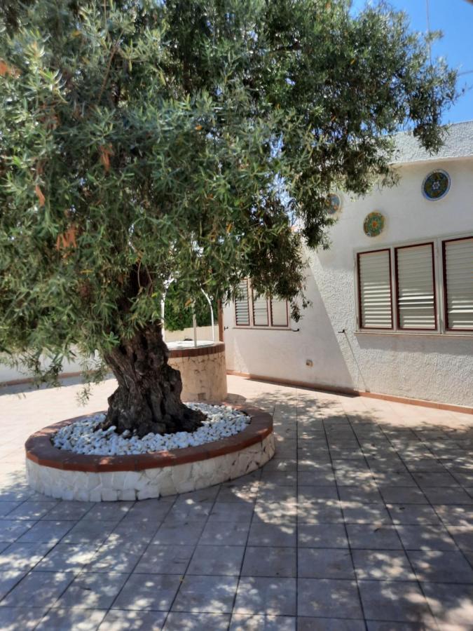 Villa Nina Fontane Bianche Dış mekan fotoğraf